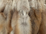 Pine Marten (Sable)