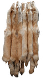 Rare Red Coyote Pelt, Tanned