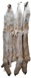 Rare Red Coyote Pelt, Tanned
