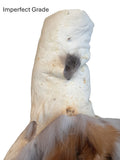 Red Fox Pelt