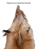 Red Fox Pelt