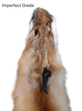 Red Fox Pelt