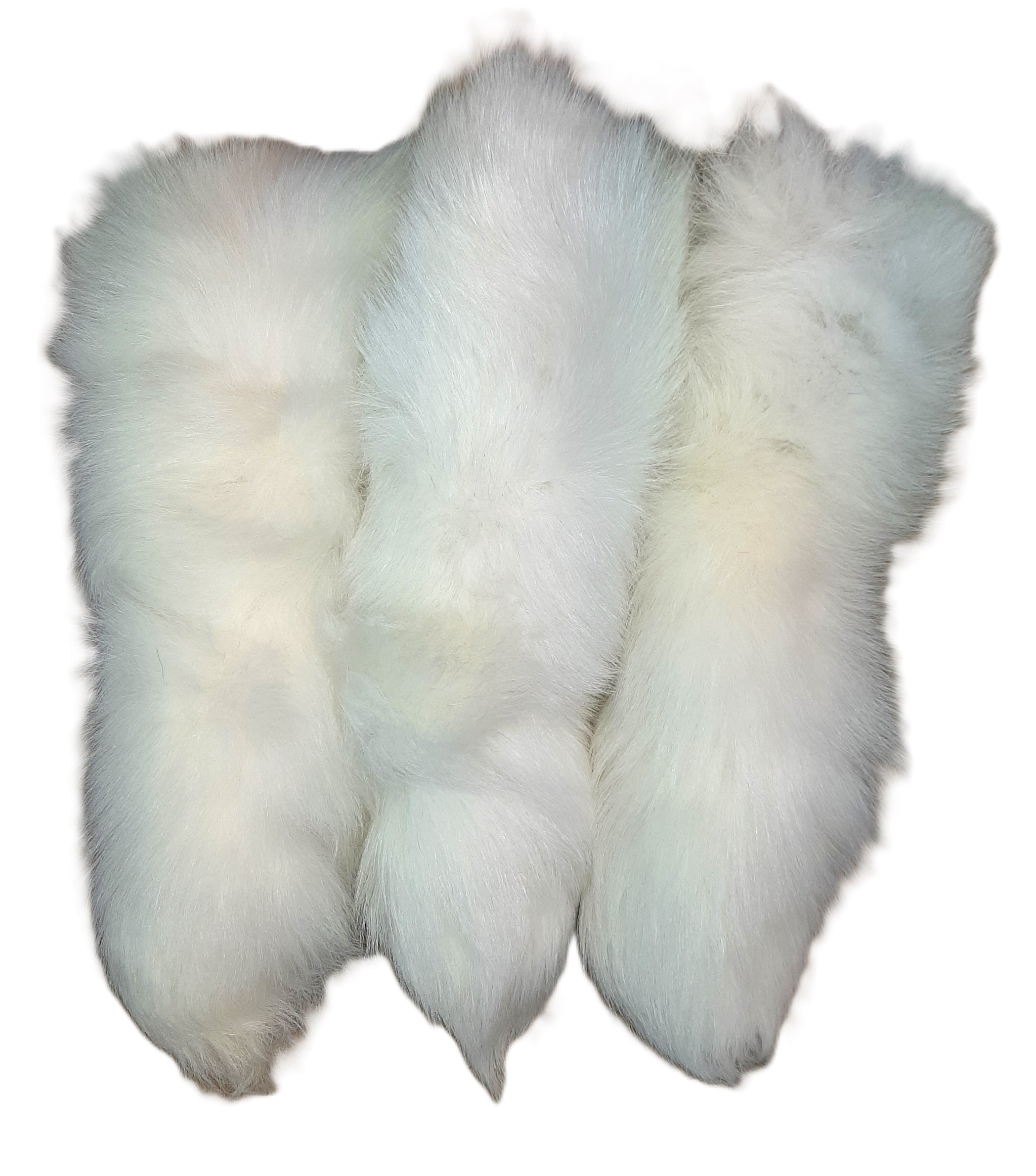 white4_2048x.jpg?v=1722464360