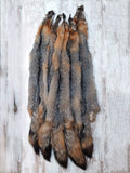 Grey Fox