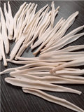 Coyote Baculum