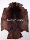 Sheared Beaver