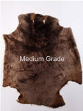 Sheared Beaver