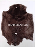 Sheared Beaver
