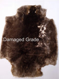 Sheared Beaver