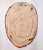 Minnesota Red Beaver Pelt
