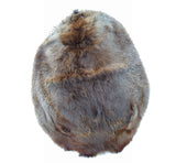 Minnesota Red Beaver Pelt