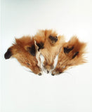 Red Fox Face, Set of 3
