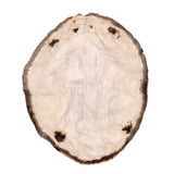 Brown Beaver