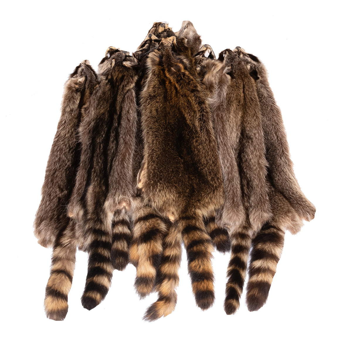 Dakotaline Furs | Tanned Fur Pelts & Hides Garment Quality