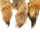 Coyote Tail
