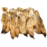 Coyote Tail