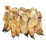 Coyote Tail