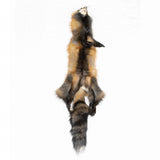 Cross Fox