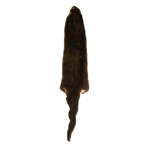 River Otter