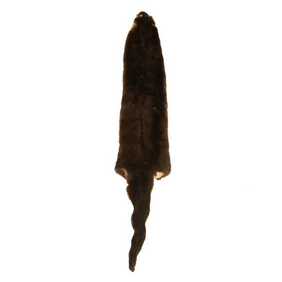 River Otter