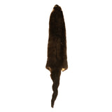 River Otter