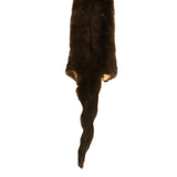 River Otter