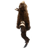 Fisher