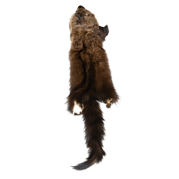 Fisher