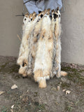 Tanned Badger Pelt Heavy Furred