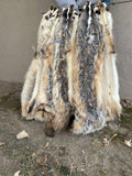 Tanned Badger Pelt Heavy Furred